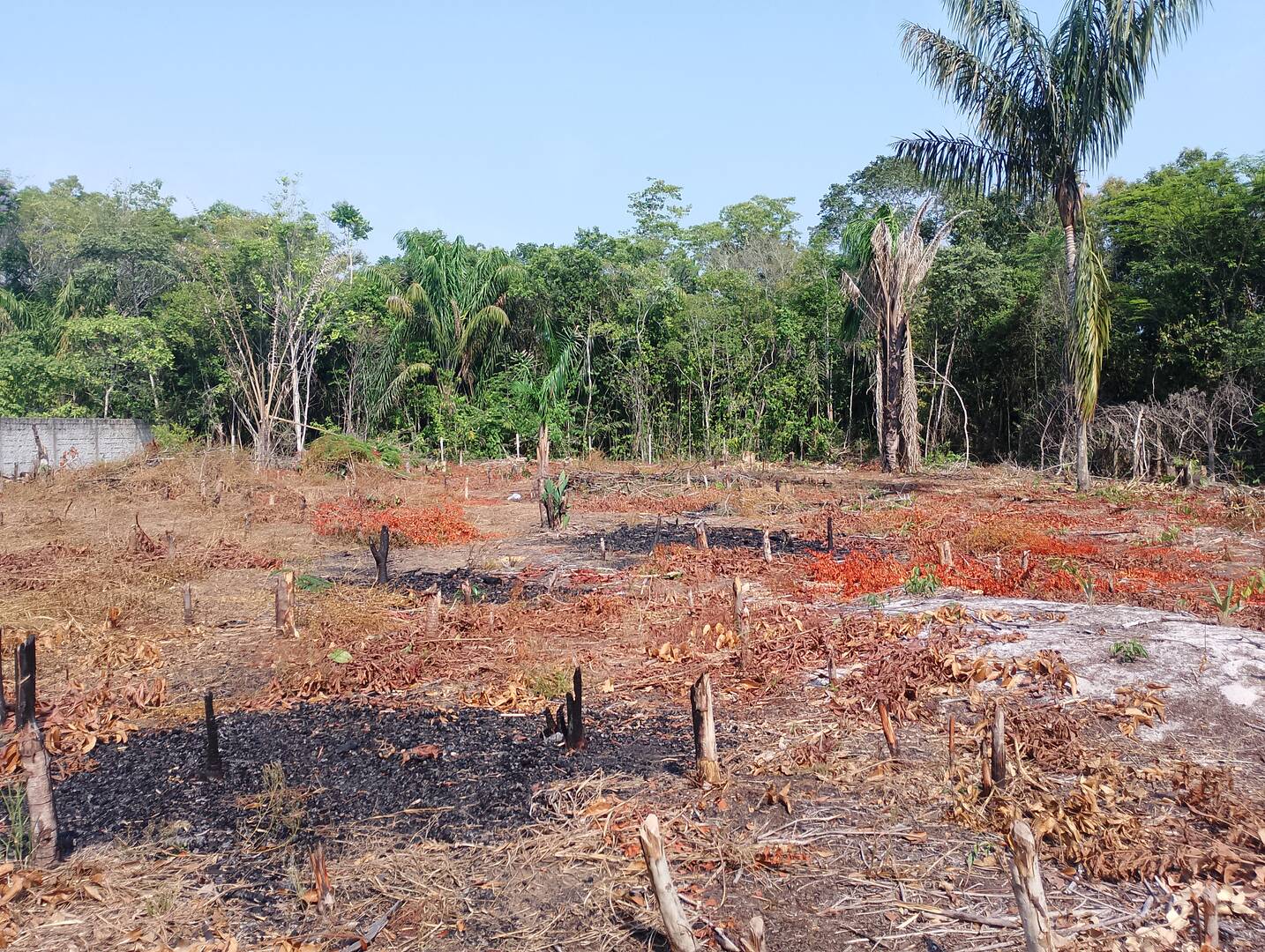 Terreno, 2000 m² - Foto 11