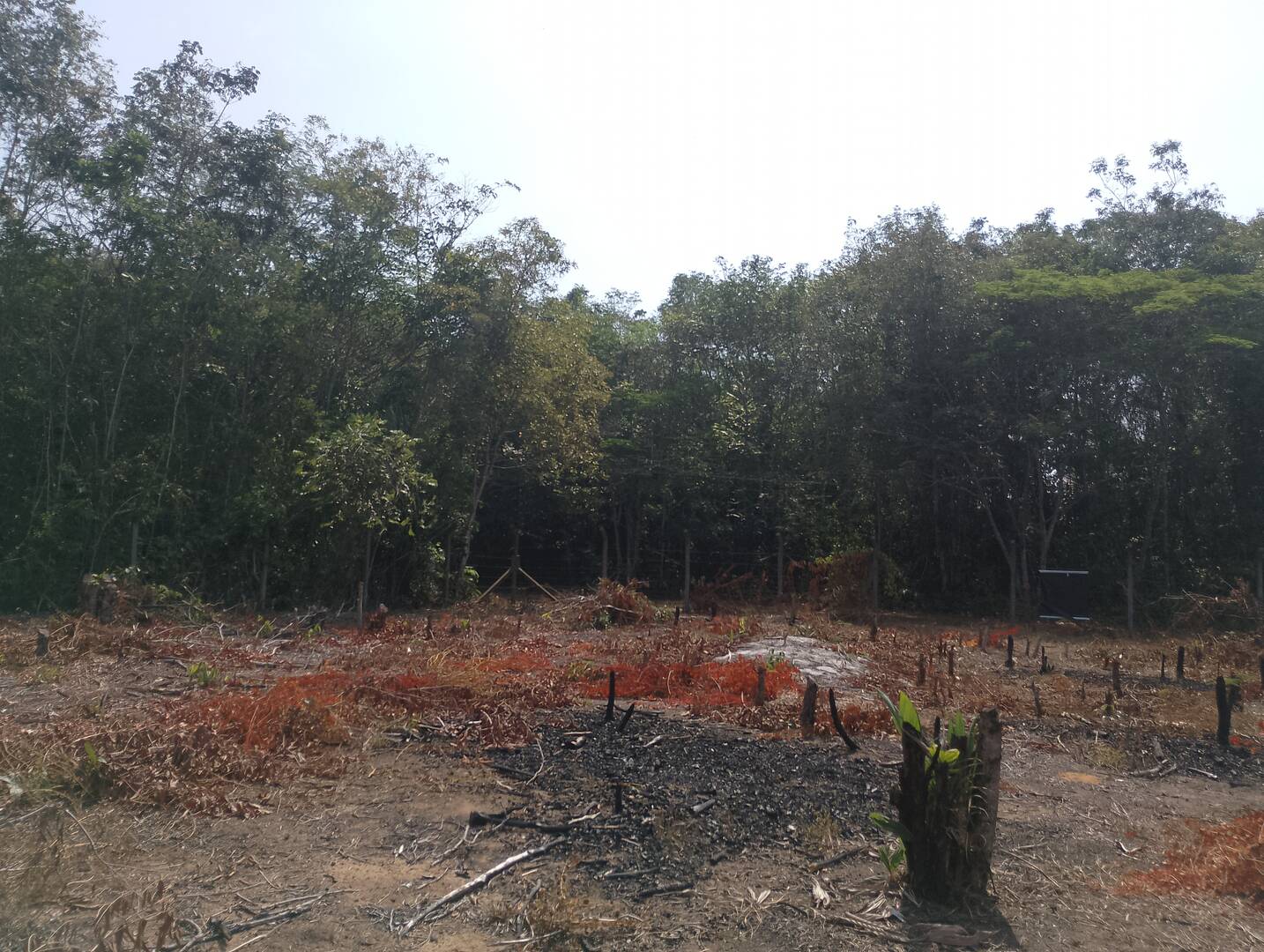 Terreno, 2000 m² - Foto 13