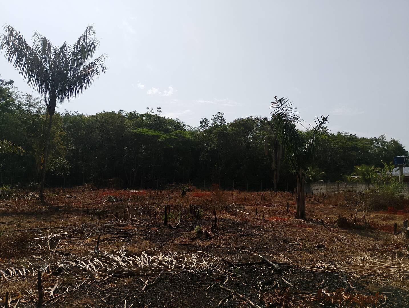 Terreno, 2000 m² - Foto 14