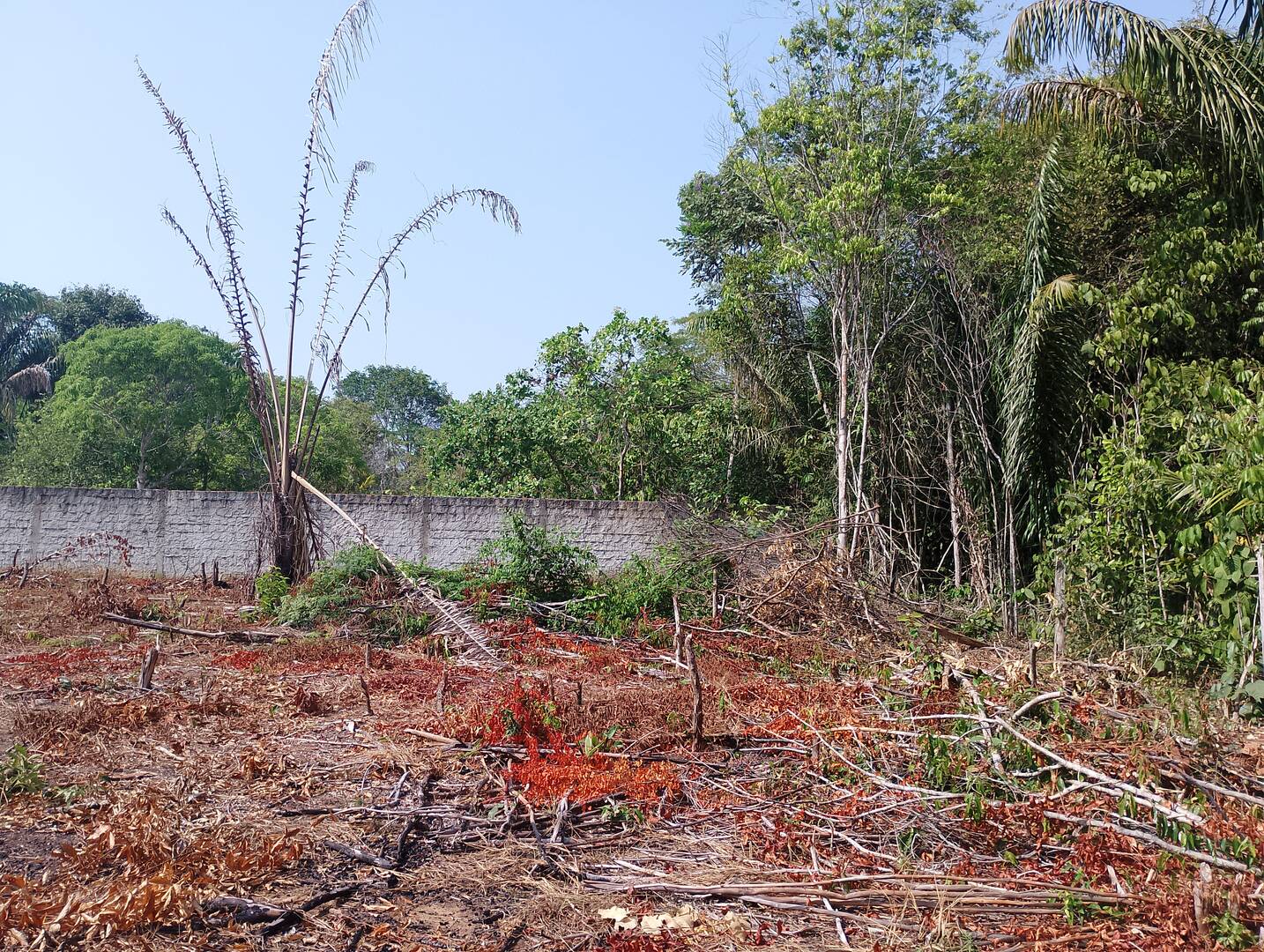 Terreno, 2000 m² - Foto 15