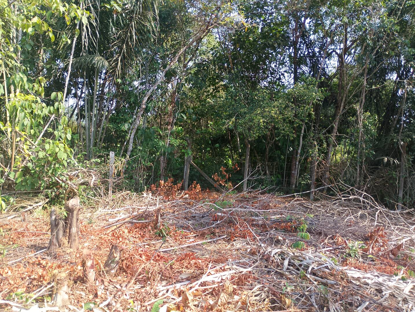 Terreno, 2000 m² - Foto 17