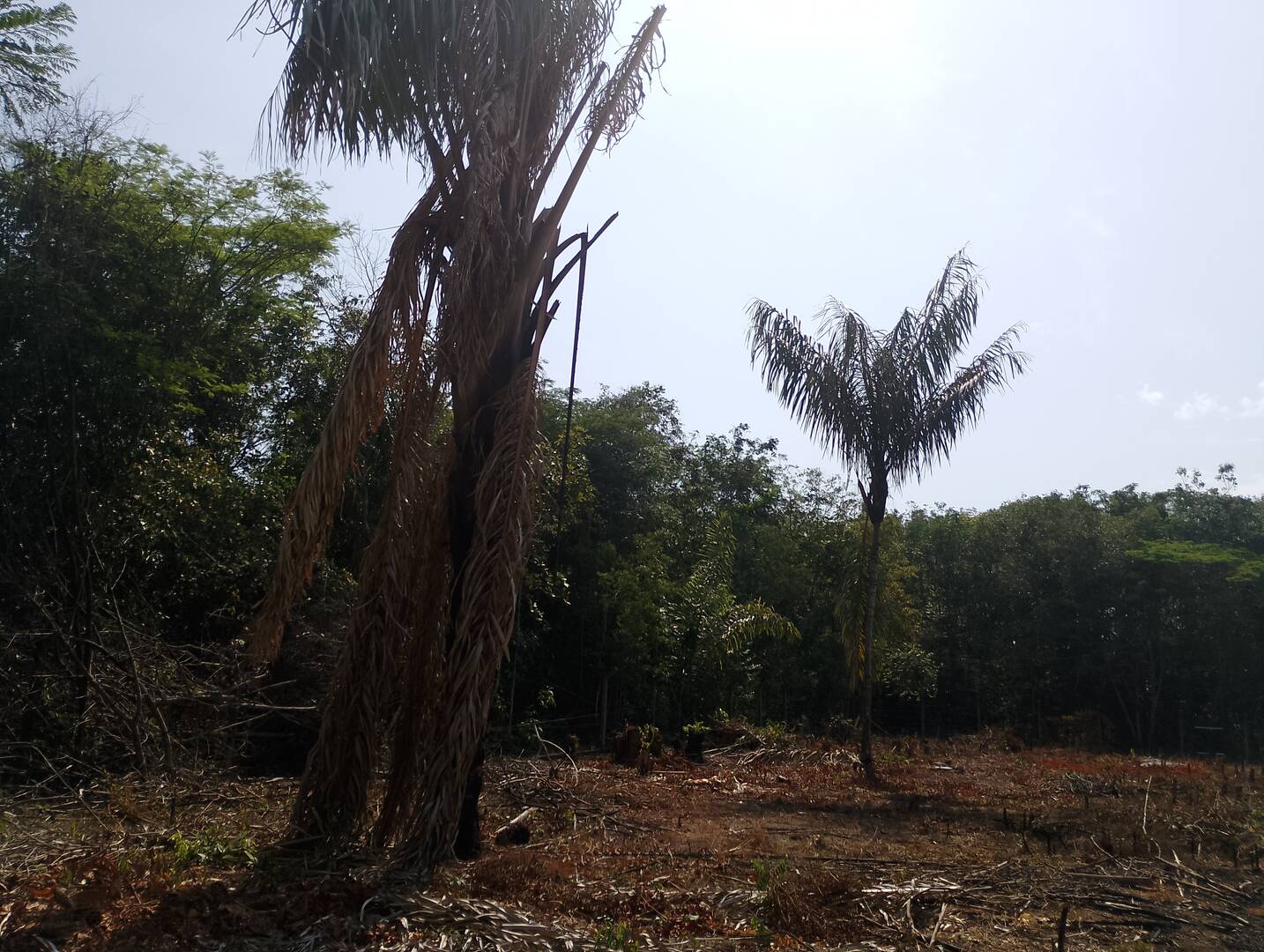 Terreno, 2000 m² - Foto 18