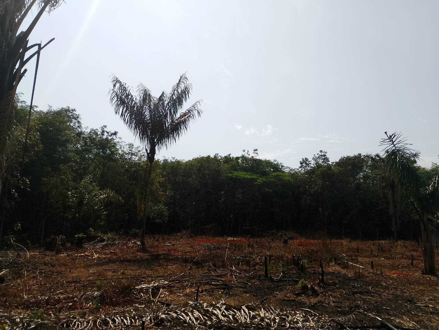 Terreno, 2000 m² - Foto 19