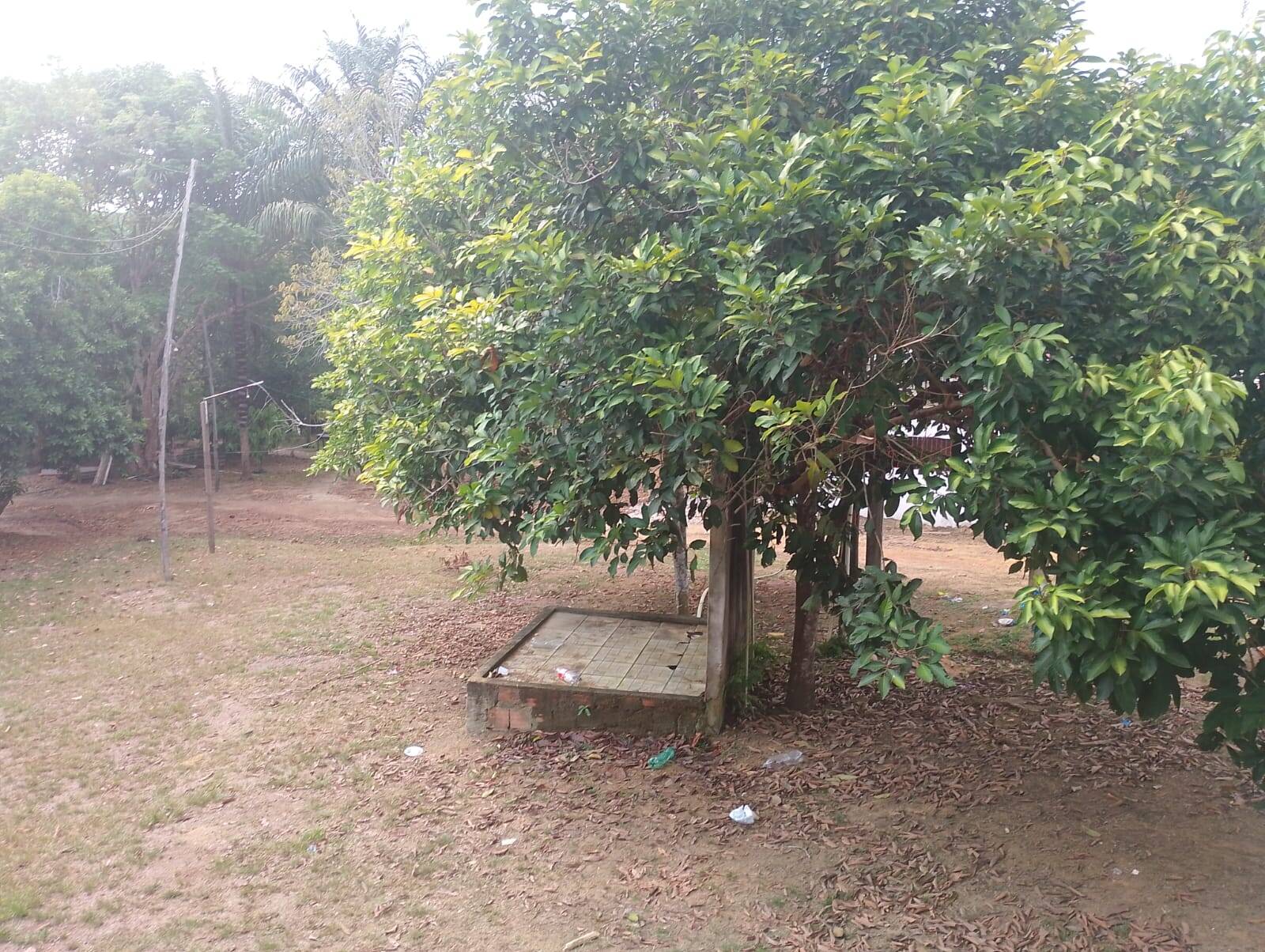 Sítio à venda com 2 quartos, 300m² - Foto 14