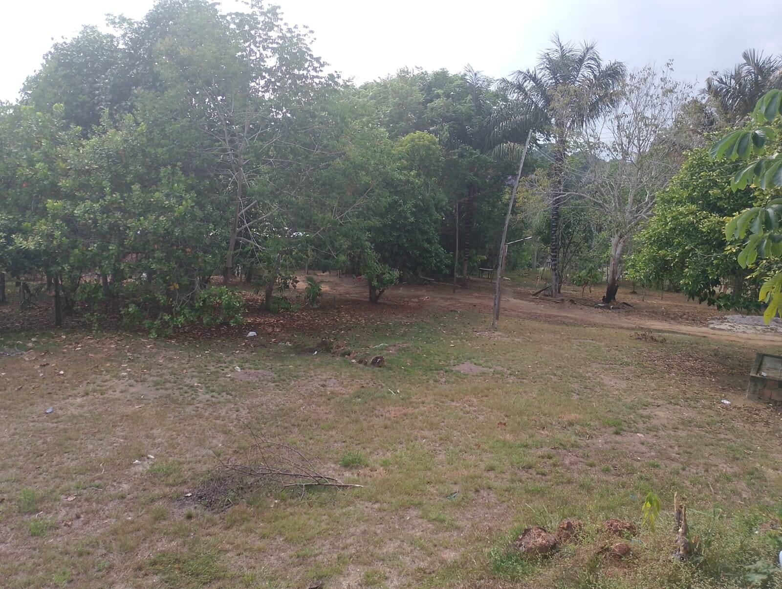 Sítio à venda com 2 quartos, 300m² - Foto 17