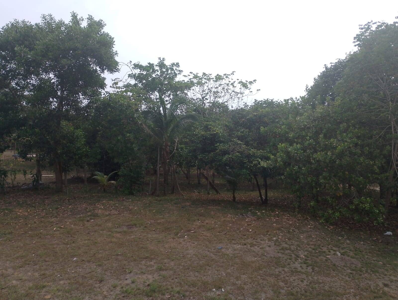 Sítio à venda com 2 quartos, 300m² - Foto 16
