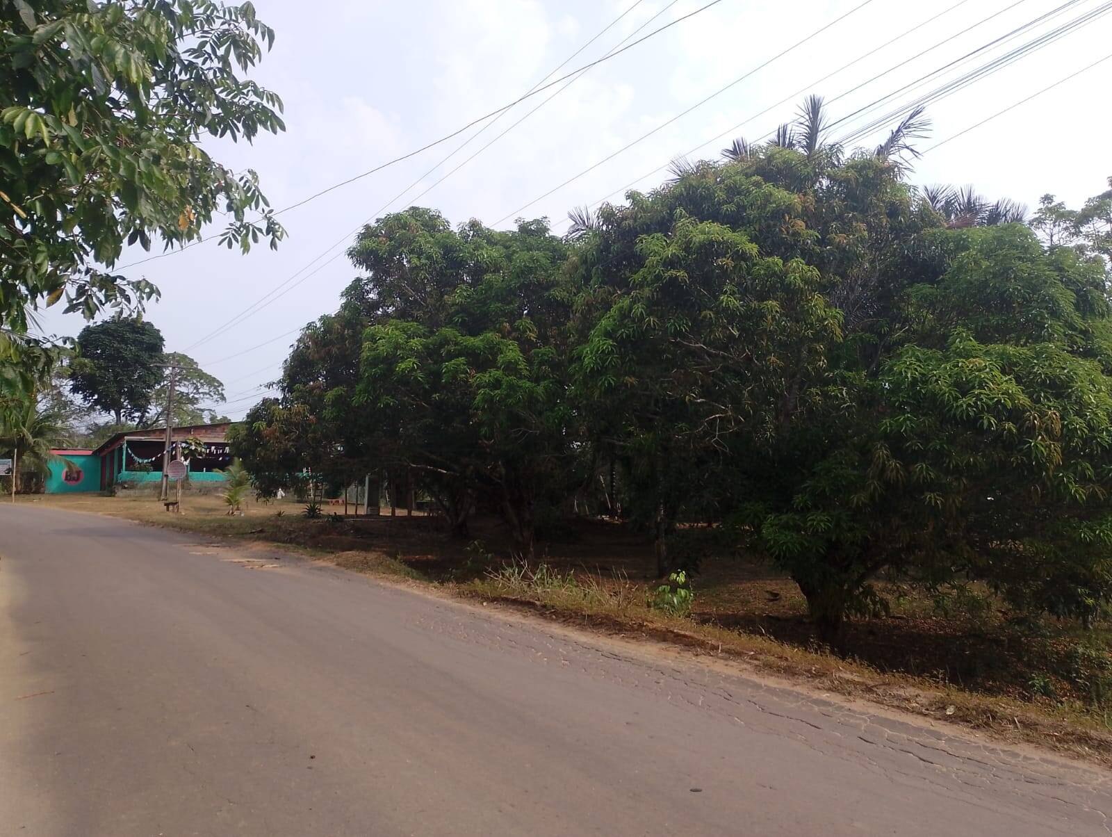 Sítio à venda com 2 quartos, 300m² - Foto 22