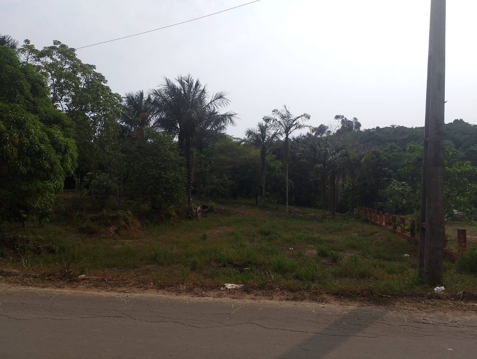 Sítio à venda com 2 quartos, 300m² - Foto 23