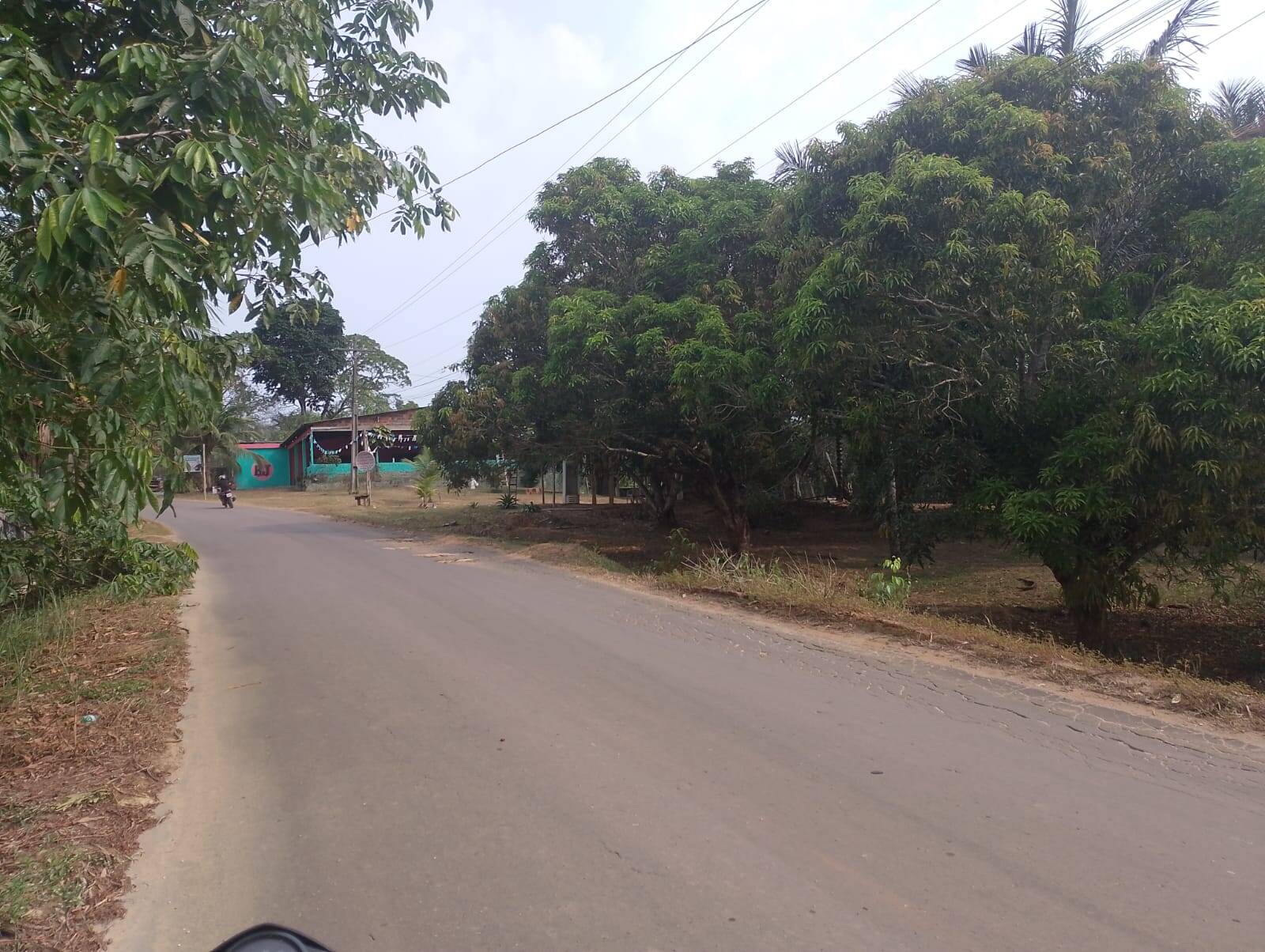 Sítio à venda com 2 quartos, 300m² - Foto 26