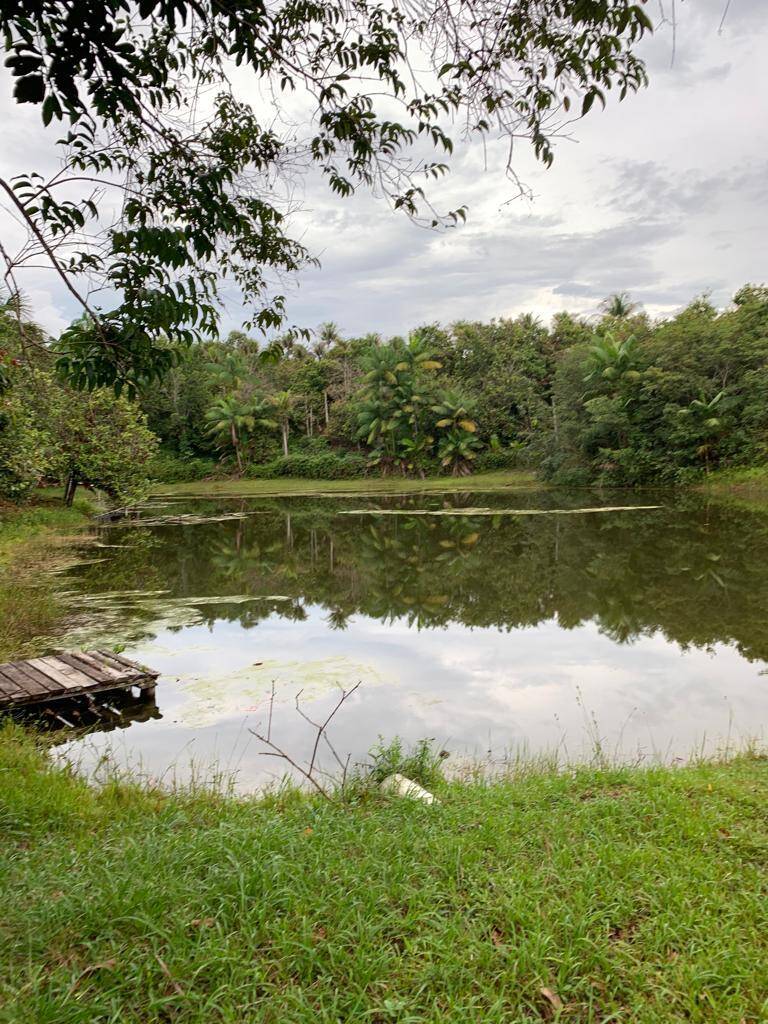 Terreno, 34 hectares - Foto 1