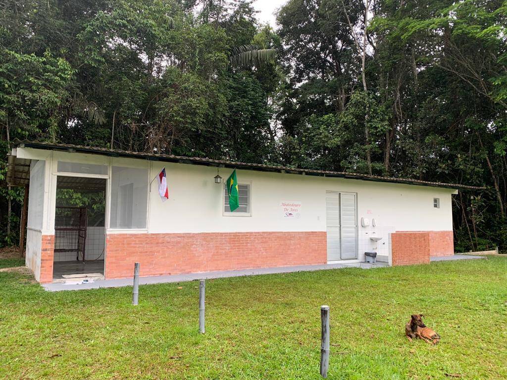 Terreno, 34 hectares - Foto 6