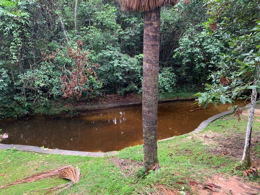 Terreno, 34 hectares - Foto 2