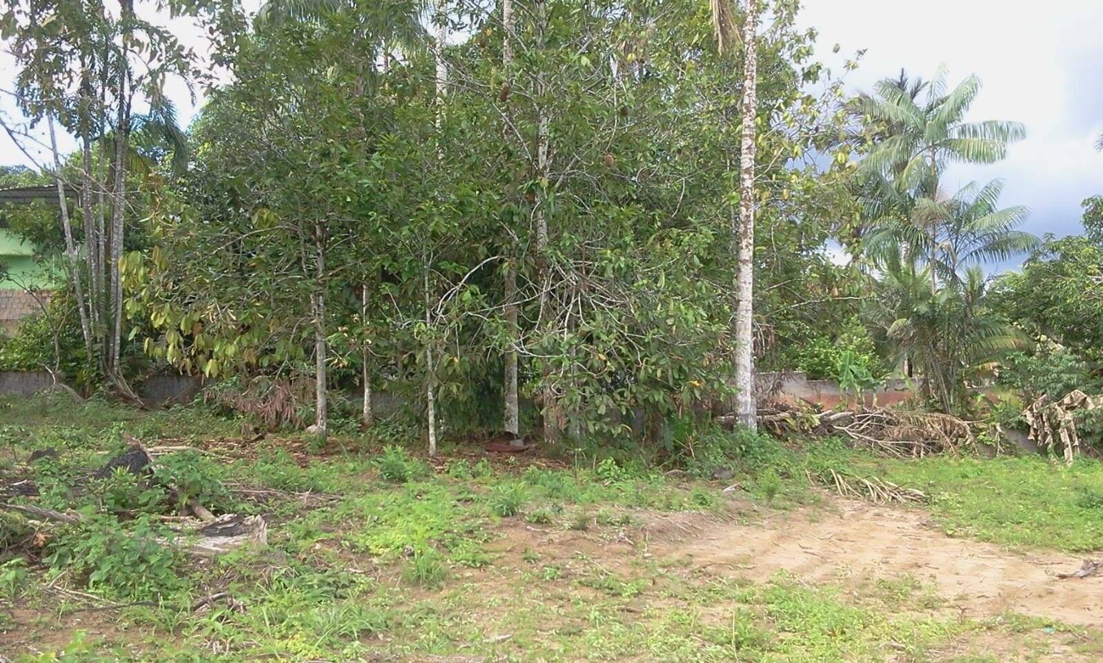 Terreno, 4800 m² - Foto 7