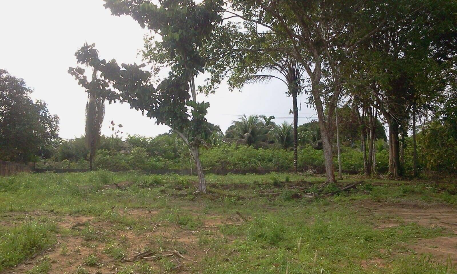 Terreno, 4800 m² - Foto 9