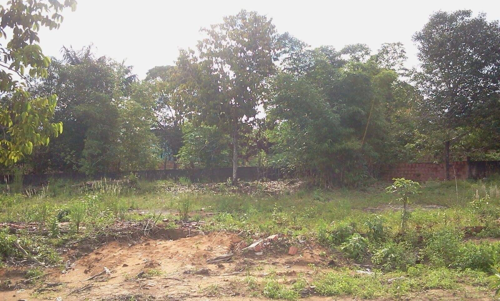 Terreno, 4800 m² - Foto 14