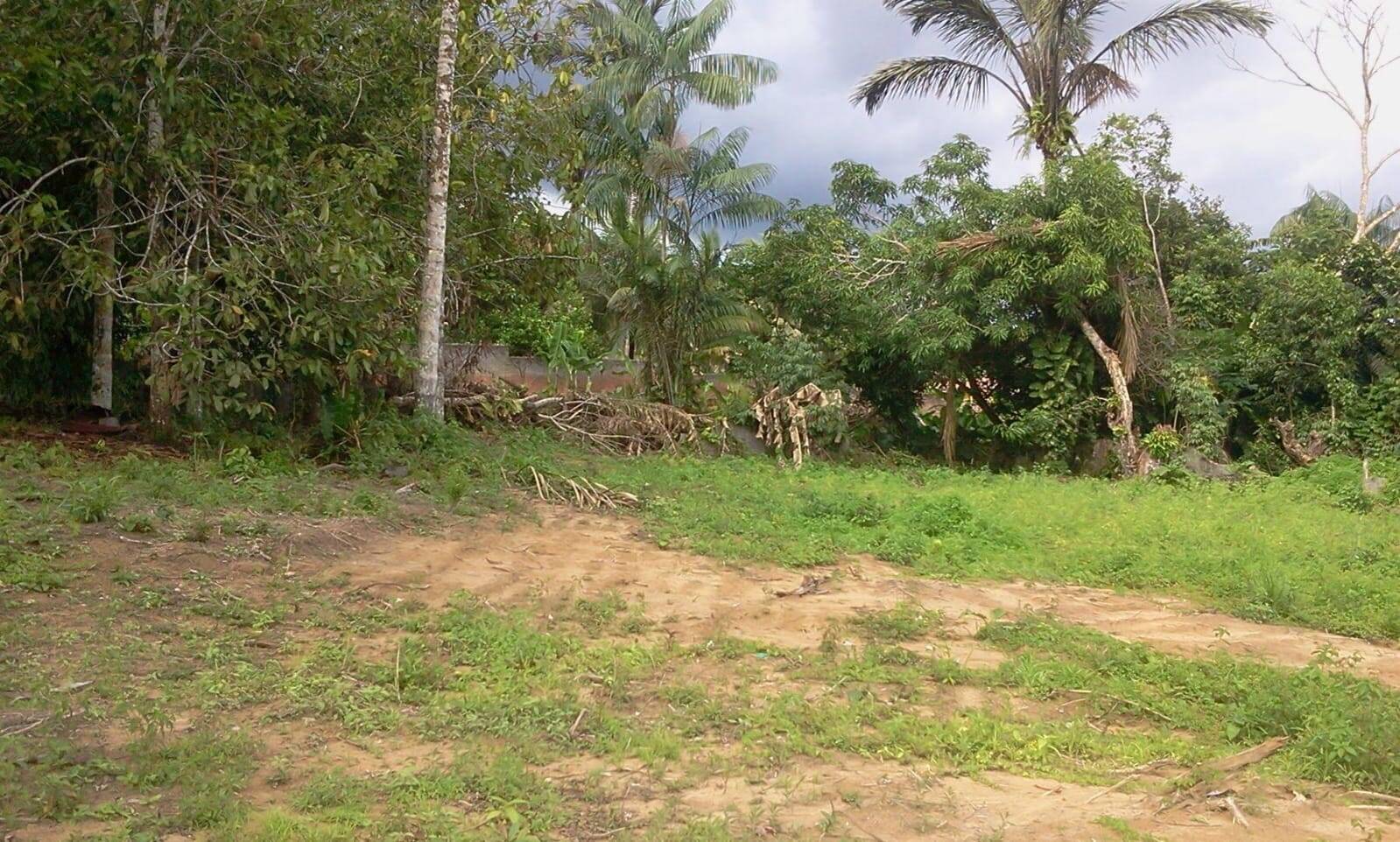 Terreno, 4800 m² - Foto 15