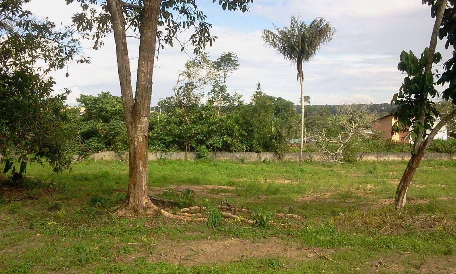 Terreno, 4800 m² - Foto 1