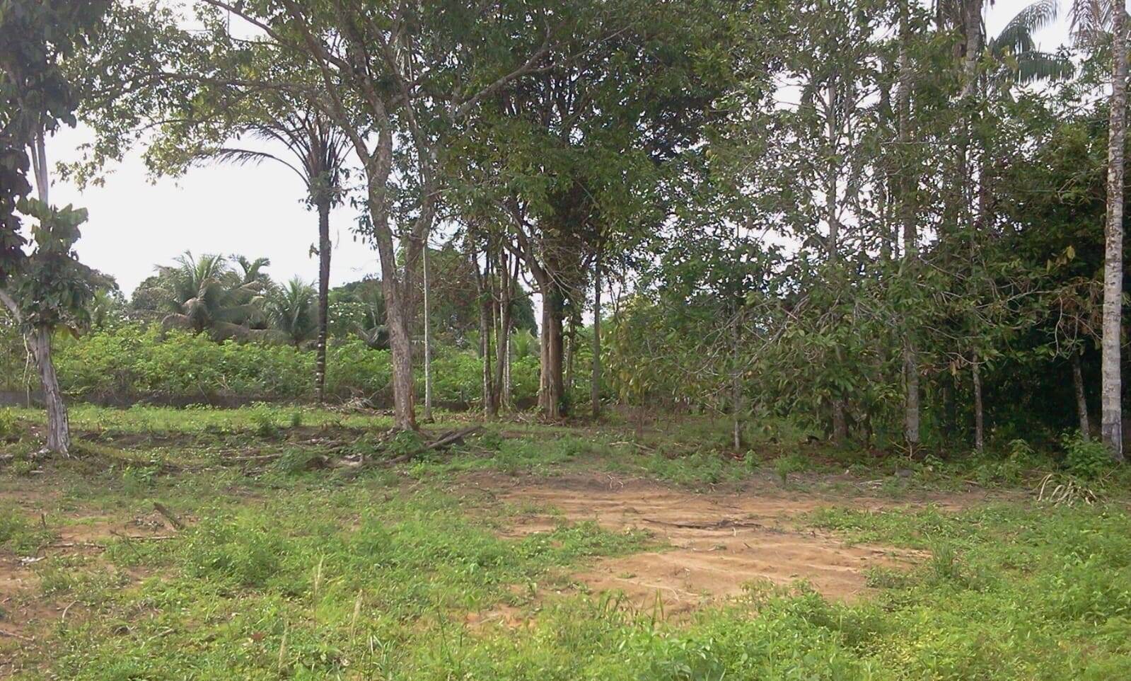 Terreno, 4800 m² - Foto 16