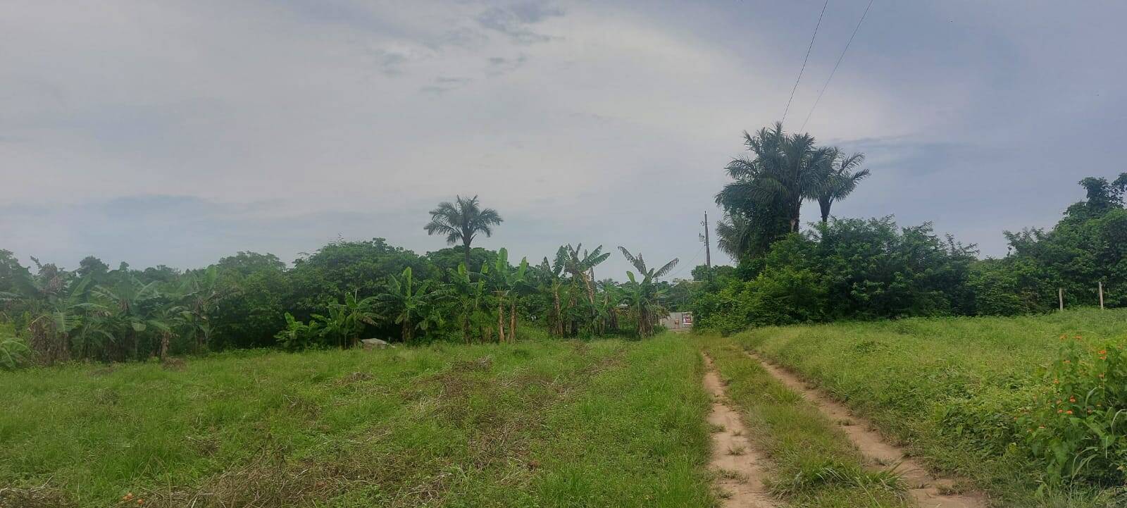 Terreno, 1120 m² - Foto 8