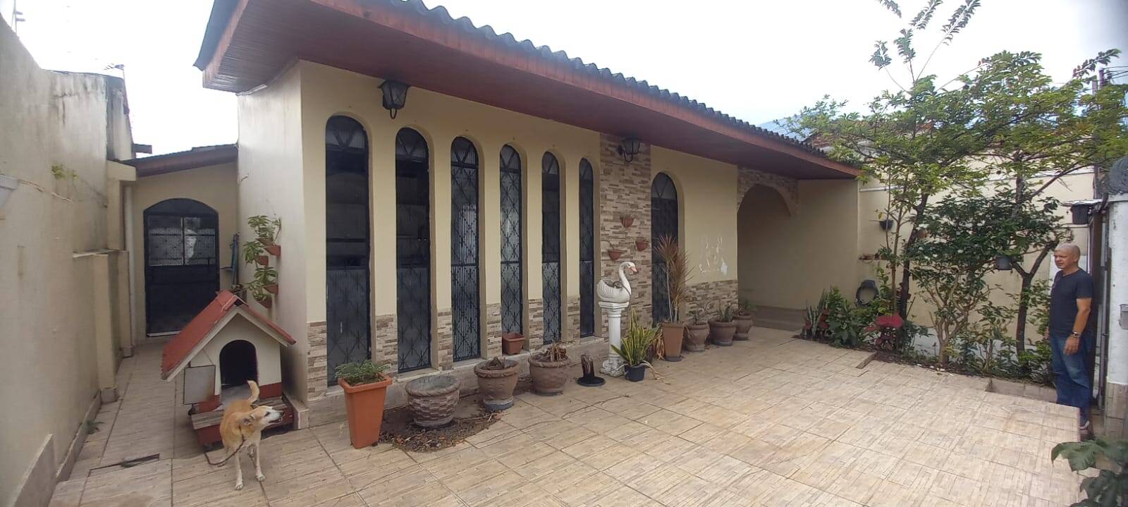 Casa, 3 quartos - Foto 3