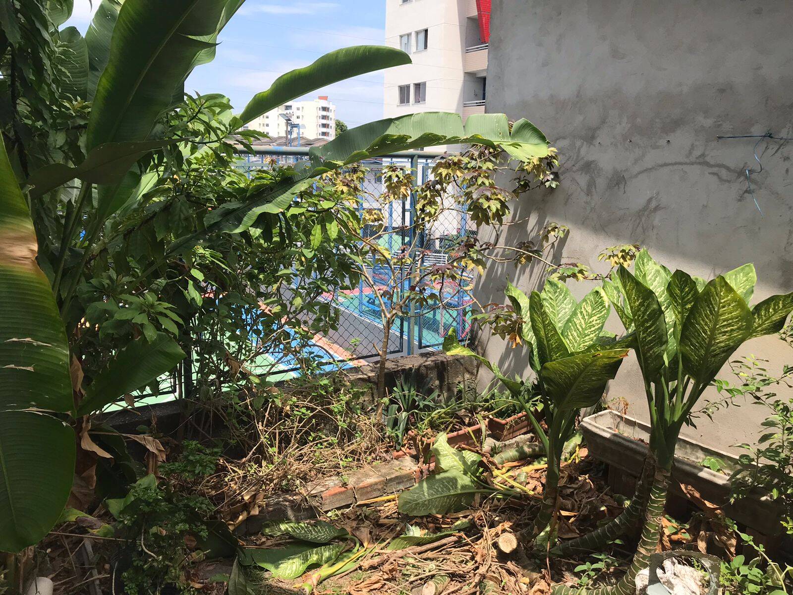 Casa, 4 quartos - Foto 14