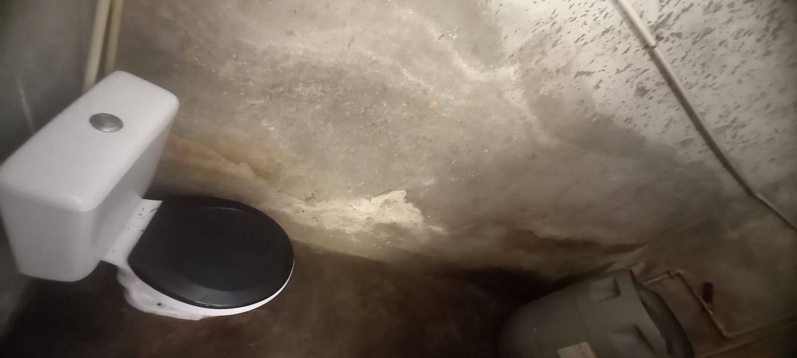 Casa, 4 quartos - Foto 13