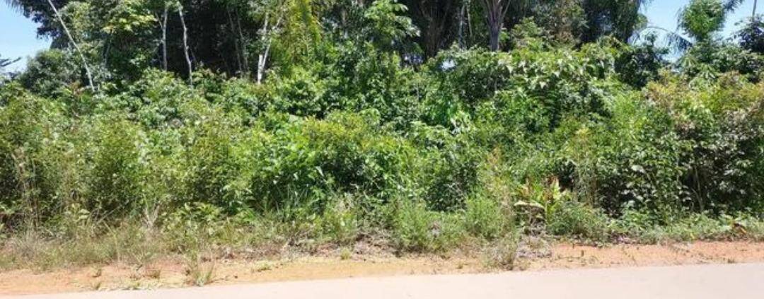 Terreno, 1000 m² - Foto 31