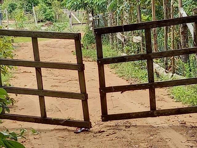 Terreno para Venda em Novo Airão - 5