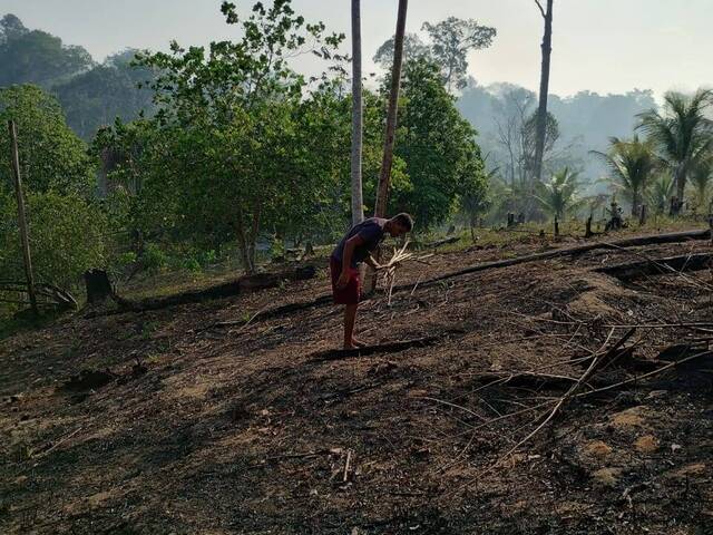 Terreno para Venda em Rio Preto da Eva - 5