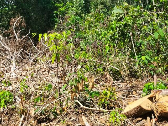 Terreno para Venda em Iranduba - 5
