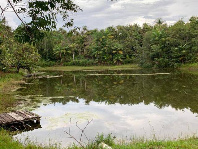 #1329 - Fazenda para Venda em Manaus - AM - 1