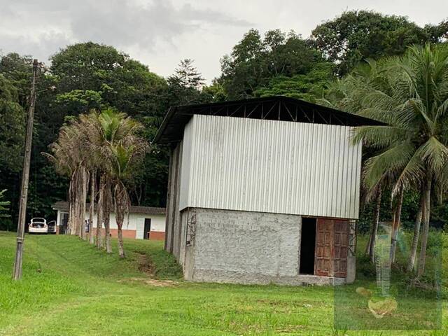 Fazenda para Venda em Manaus - 4