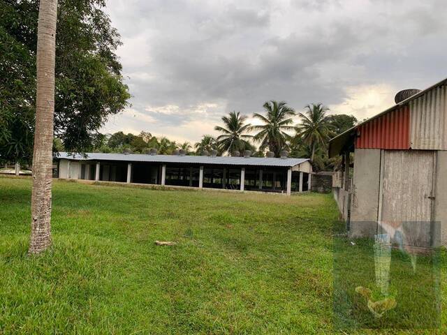 Fazenda para Venda em Manaus - 5